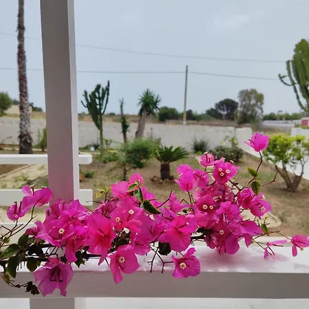 Sicilia Noto San Lorenzo Amaranto Apartment