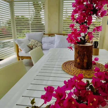 Sicilia Noto San Lorenzo Amaranto * Reitani